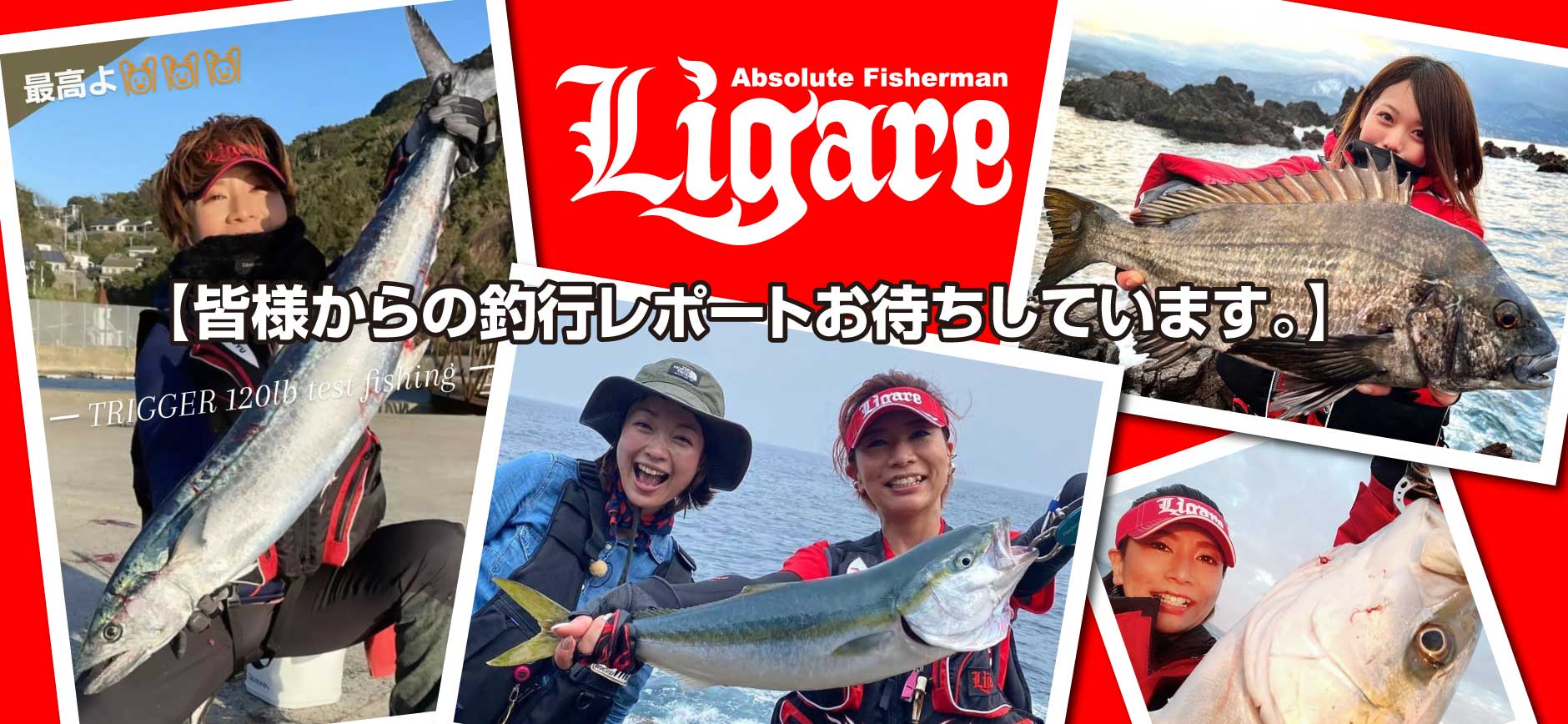 投稿お待ちしてます